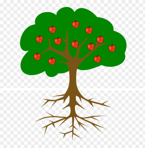 clip art tree with roots - tree with roots and fruits PNG clipart with transparency