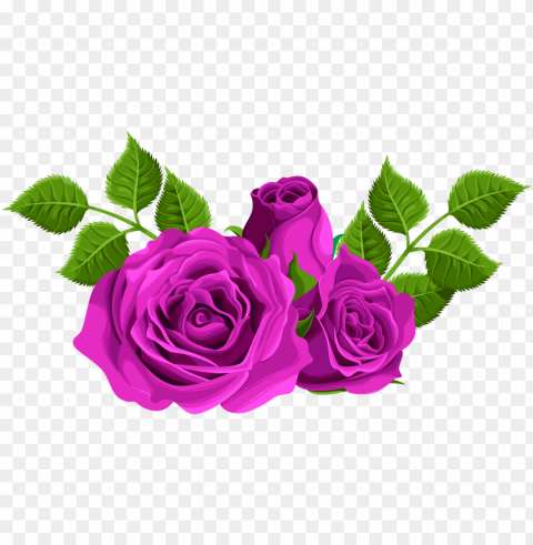 clip black and white download decorative clip art - pink roses clip art Free PNG images with alpha channel set