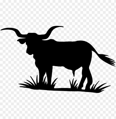 clip black and white longhorn silhouette clipart - cafepress texas longhorn silhouette ca PNG image with no background