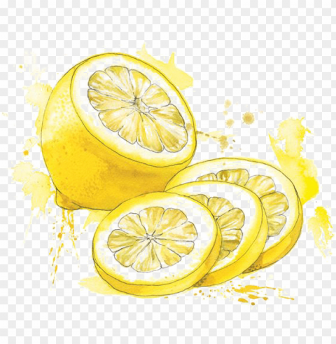 clip download painting food illustration lemon transprent - watercolor painti PNG photos with clear backgrounds