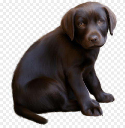 clipart download cute little with blue - brown dog transparent PNG graphics