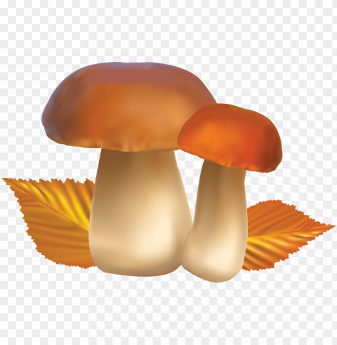 clipart food mushroom - Гриб Пнг Isolated Object in Transparent PNG Format
