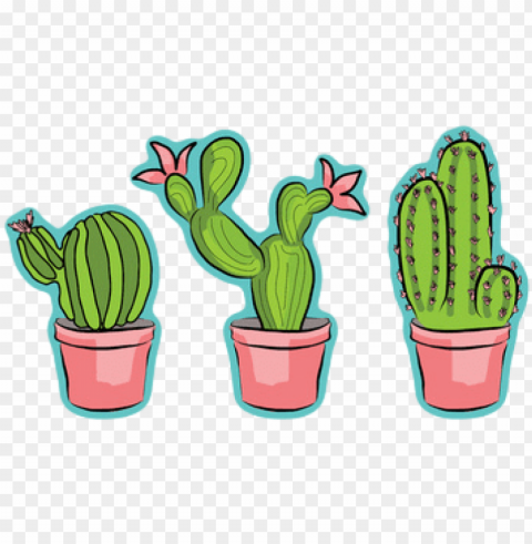 clipart frames illustrations hd - cartoon cactus and succulents PNG images with alpha transparency wide collection
