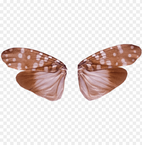 clipart free stock wings with transparency by jantiff - insect wings PNG Isolated Illustration with Clear Background PNG transparent with Clear Background ID 7e26281c