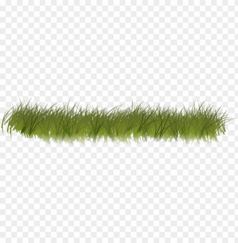 clipart grass forest grass - forest grass Transparent PNG images bundle PNG transparent with Clear Background ID 1fbc07db