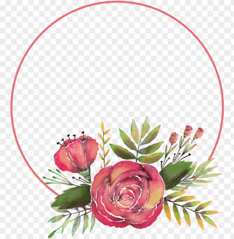 clipart hand painted rose flower frame transprent - transparent decorative frame flowers PNG images with alpha transparency bulk