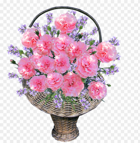 clipart resolution 642720 - bouquet pink carnation floral arrangement Free PNG images with transparent background PNG transparent with Clear Background ID 7ac19dc0