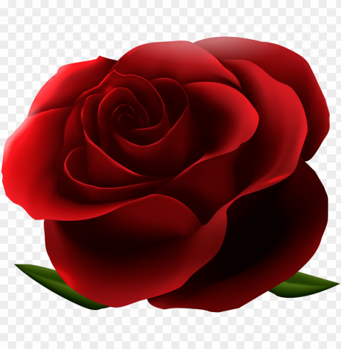 clipart resolution 64865375 - format red rose PNG images no background PNG transparent with Clear Background ID bc7c22fd