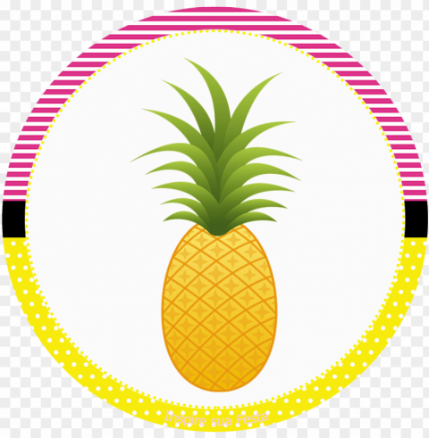 clipart summer pineapple - flamingo rotulo personalizados Clear Background PNG Isolated Illustration