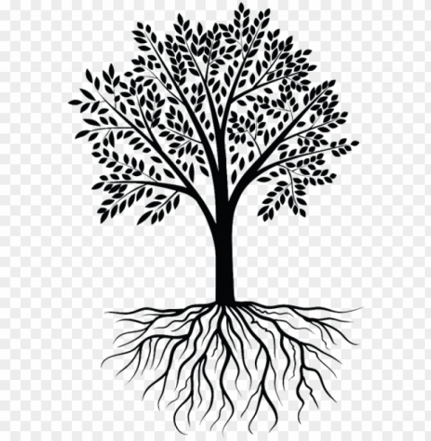 clipart transparent clip art clipart transprent - transparent tree with roots HighResolution Isolated PNG Image