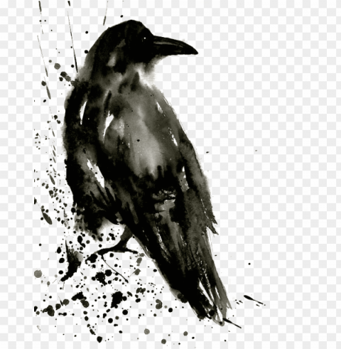 clipart transparent download common raven painting - crow watercolor painti PNG files with no background bundle