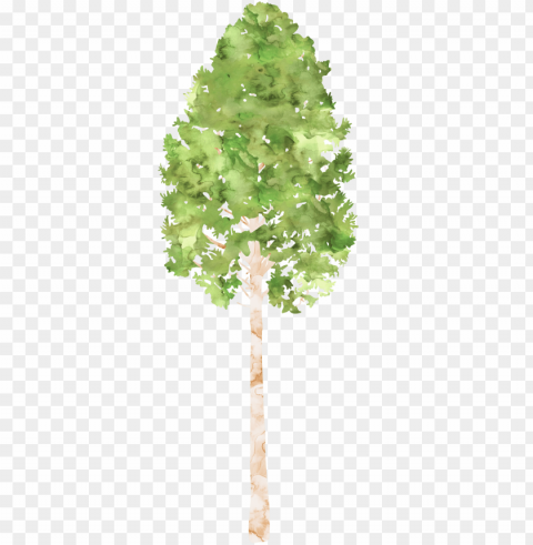 clipart tree watercolor - watercolor painti Transparent PNG graphics library