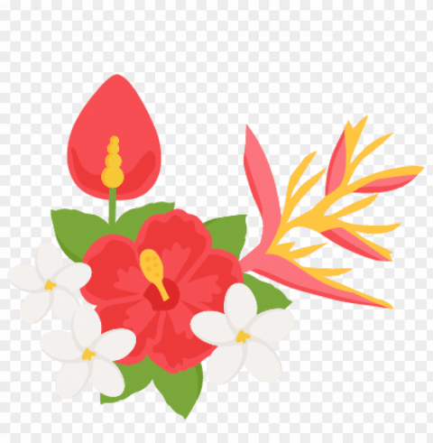 clipart tropical flowers - tropical flowers clipart PNG files with no backdrop required