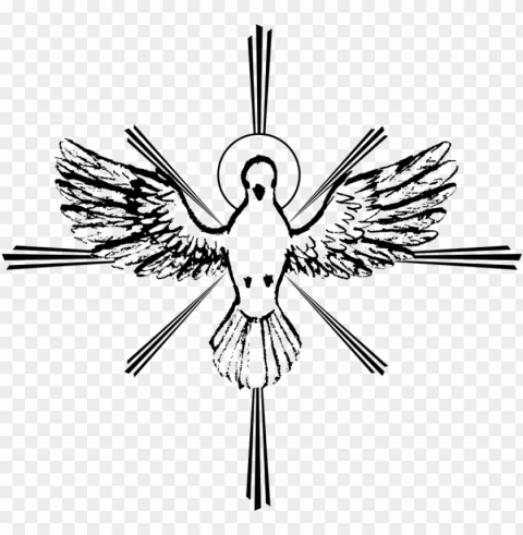 clipart white dove sketch - holy spirit dove drawi Transparent PNG Isolated Object