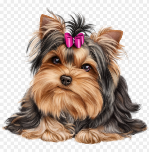 cliparts for and use - yorkshire terrier PNG with no background free download