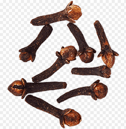 cloves - wood PNG graphics with clear alpha channel broad selection