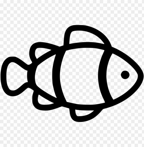 clown fish - - outline of clown fish Alpha PNGs