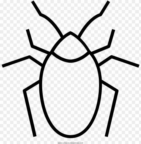 cockroaches coloring page - imagenes de cucaracha para dibujar PNG images with alpha transparency selection