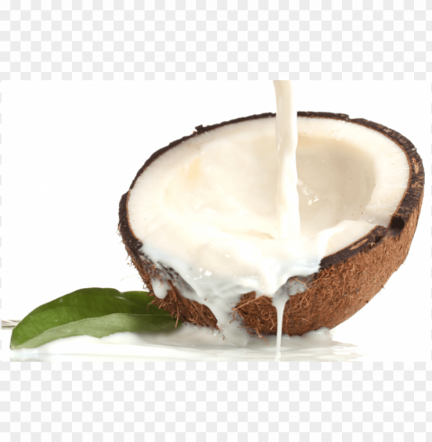 coconut milk Isolated Object in HighQuality Transparent PNG