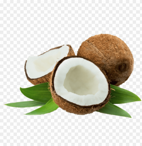 coconut thenarasu - coconut PNG photo without watermark
