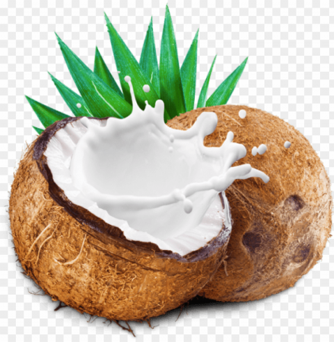 coconut with coconut milk splash - leite de coco em po pura vida Isolated Illustration with Clear Background PNG
