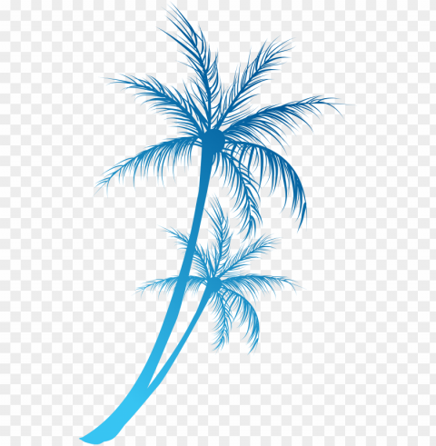 coconuts vector tree line black and white - palm tree splash PNG Image with Isolated Transparency