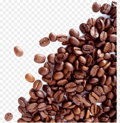 coffee beans and leaf Clean Background Isolated PNG Illustration