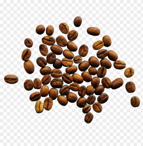 coffee beans food image High-resolution PNG images with transparency wide set - Image ID 077e8ed4