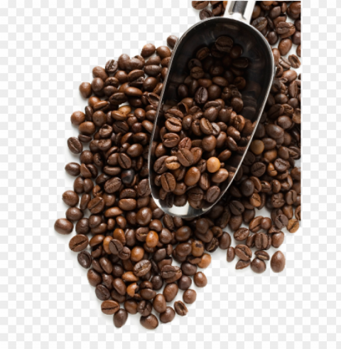 coffee beans food photo HighQuality PNG Isolated Illustration - Image ID 9160bf03