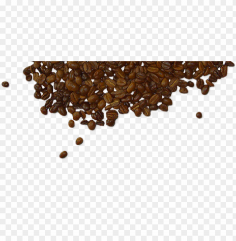 coffee beans food background High-resolution transparent PNG images set