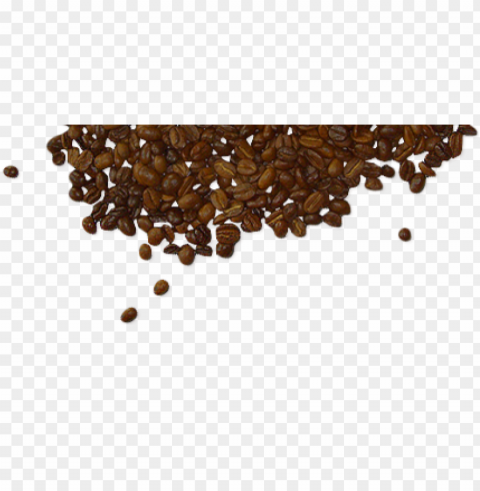 Coffee Beans Food Background High-resolution Transparent PNG Images Set