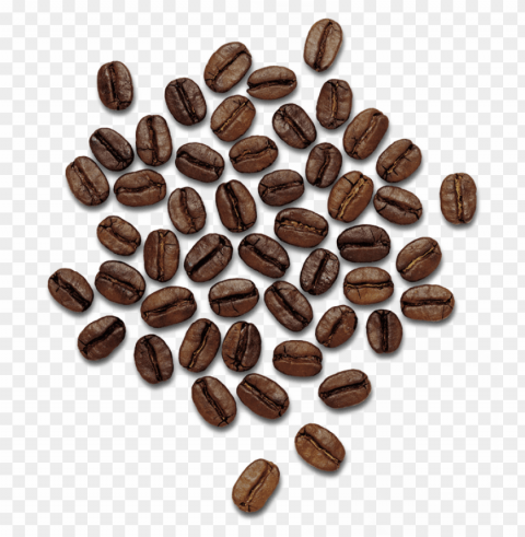 coffee beans image - dolce gabbana the only one PNG images with transparent overlay