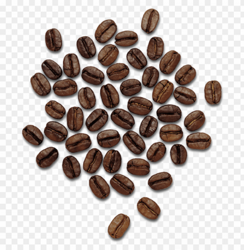 Coffee Beans Image - Dolce Gabbana The Only One PNG Images With Transparent Overlay