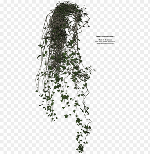 collection of 14 free arched clipart transparent - cut out hanging plants Isolated Item on Clear Background PNG PNG transparent with Clear Background ID d7564aec
