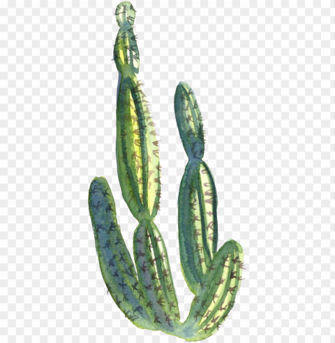 collection of free cactus water paint download - watercolor painti PNG images with transparent layering