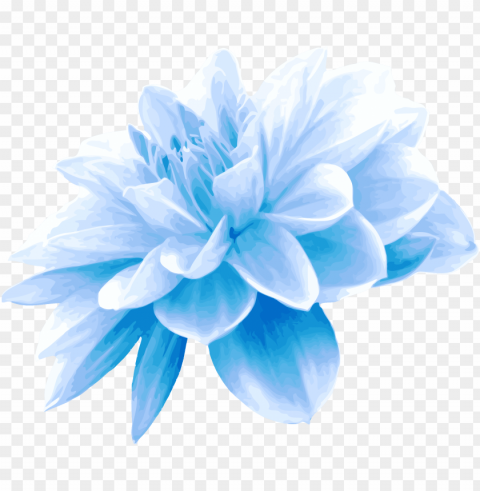 collection of free flower transpa blue on ubisafe - light blue flower PNG with Isolated Object