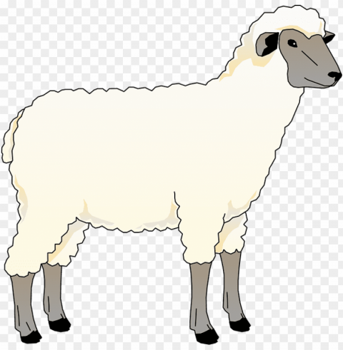 collection of free heep animal download on - cartoon sheep animal farm Clear Background Isolated PNG Object
