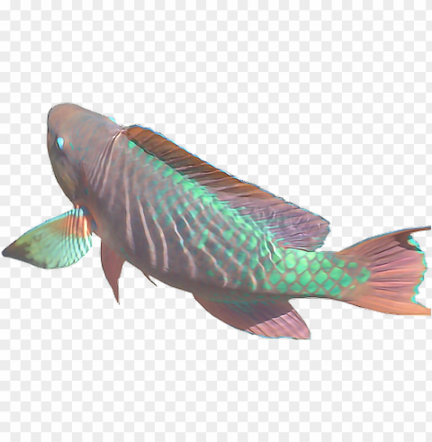 collection of free transparent fish vaporwave download - aesthetic fish Isolated Graphic on Clear PNG