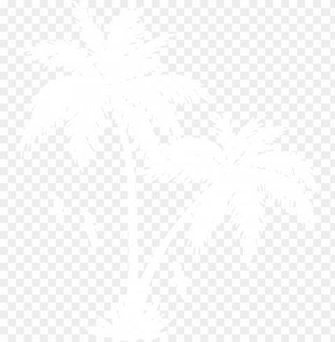 collection of free white palm tree download - palm tree white PNG images with transparent layer