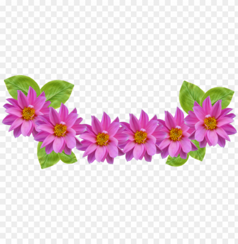 collection of headband high quality free snapchat - flower crown free Isolated Item in HighQuality Transparent PNG PNG transparent with Clear Background ID a6361b16