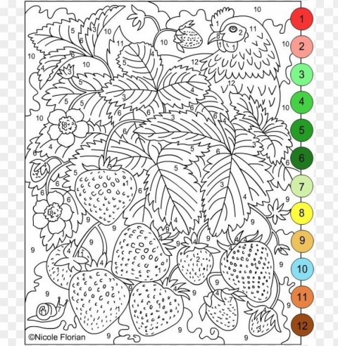 color by number coloring pages for adults Isolated Artwork on Clear Background PNG