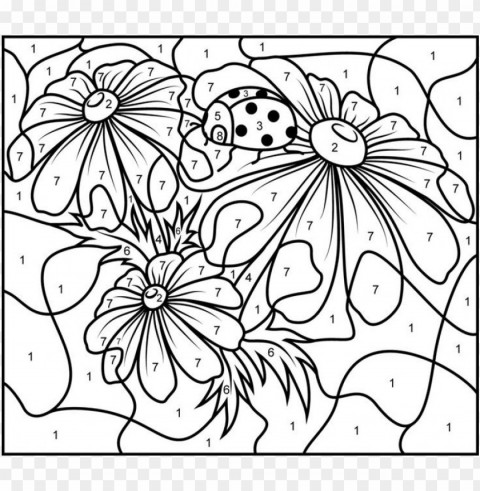 color by number coloring pages for adults Isolated Artwork on Transparent PNG