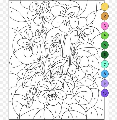 color by number coloring pages for adults Isolated Character on HighResolution PNG