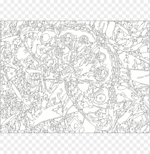 color by number coloring pages for adults Isolated Graphic Element in HighResolution PNG
