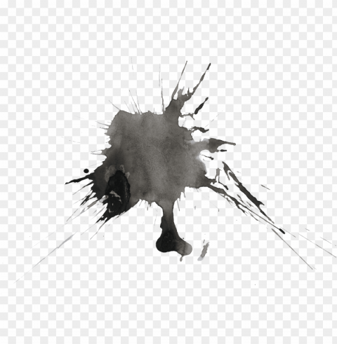 color ink splatter Isolated Character on HighResolution PNG