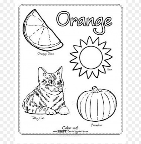 color orange coloring page Clear Background Isolated PNG Illustration