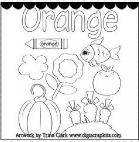 color orange coloring page Clear background PNG clip arts