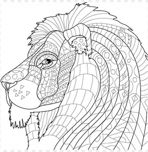 Colored Pencil Coloring Pages Transparent PNG Isolated Graphic Detail