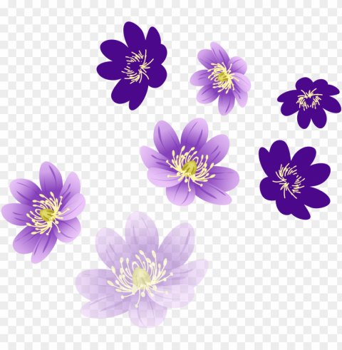 colorful floral design Isolated Subject with Clear Transparent PNG