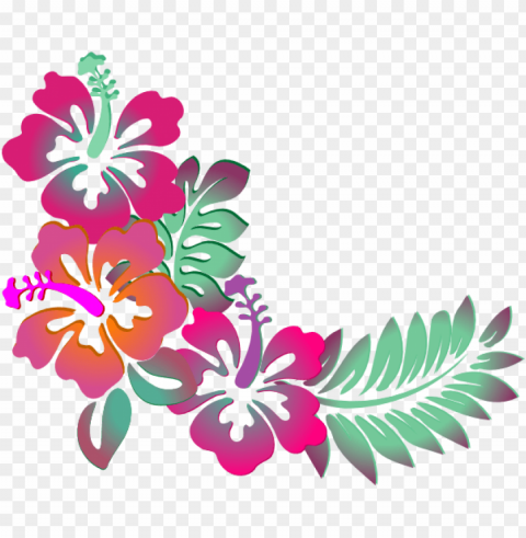 Colorful Floral Design PNG With Transparent Bg